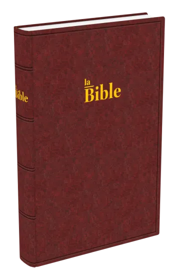 Bible Darby gros caractères rigide brun