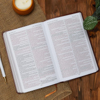 KJV Bible Imitation Leather grey