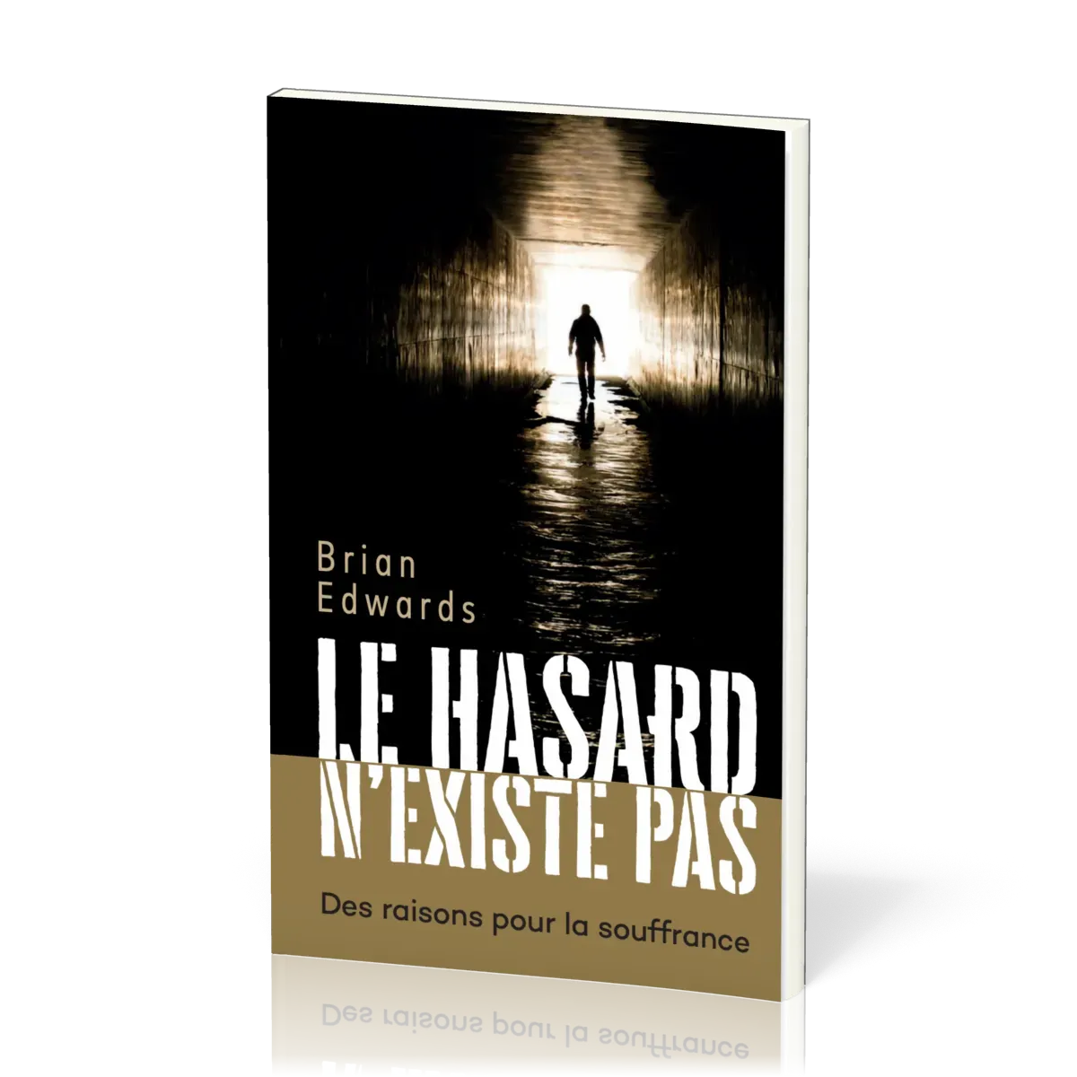 Hasard n'existe pas, Le - Des raisons pour la souffrance