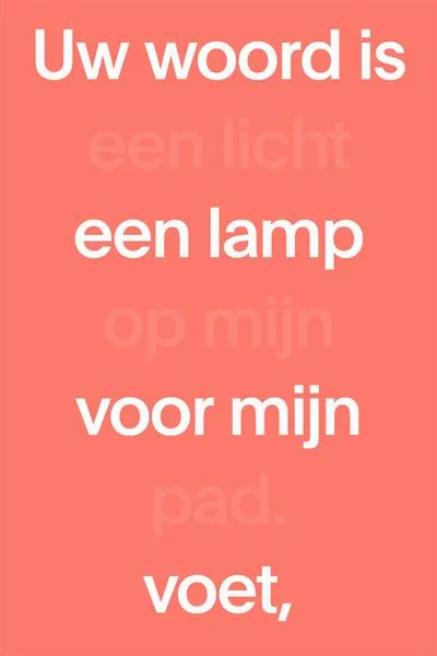 NBV21 Bijbel paperback editie - rood