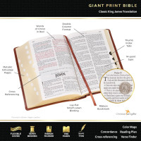 KJV The Holy Bible giant print leather brown