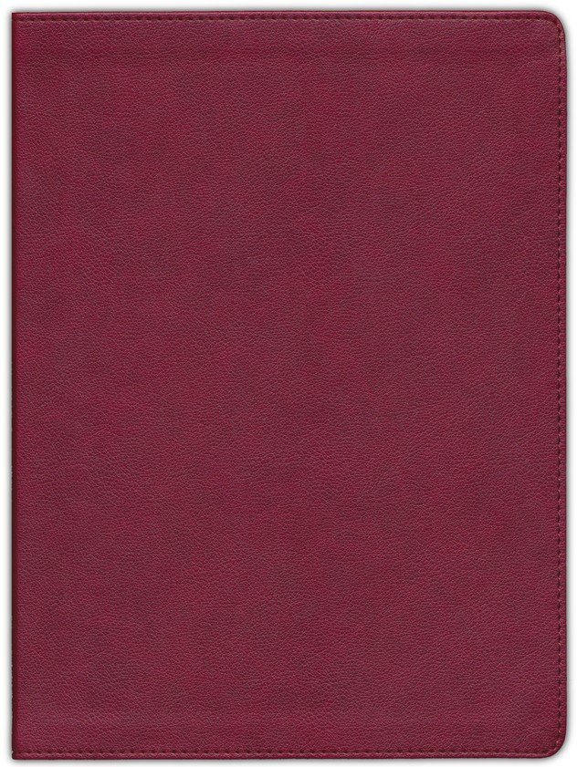 CSB Holy land illustrated Bible burgundy leathertouch