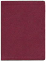 CSB Holy land illustrated Bible burgundy leathertouch