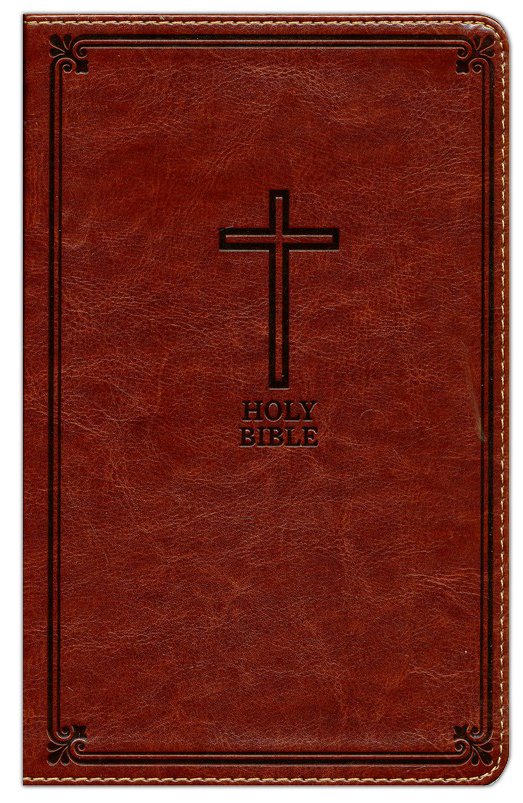 KJV deluxe gift Bible auburn