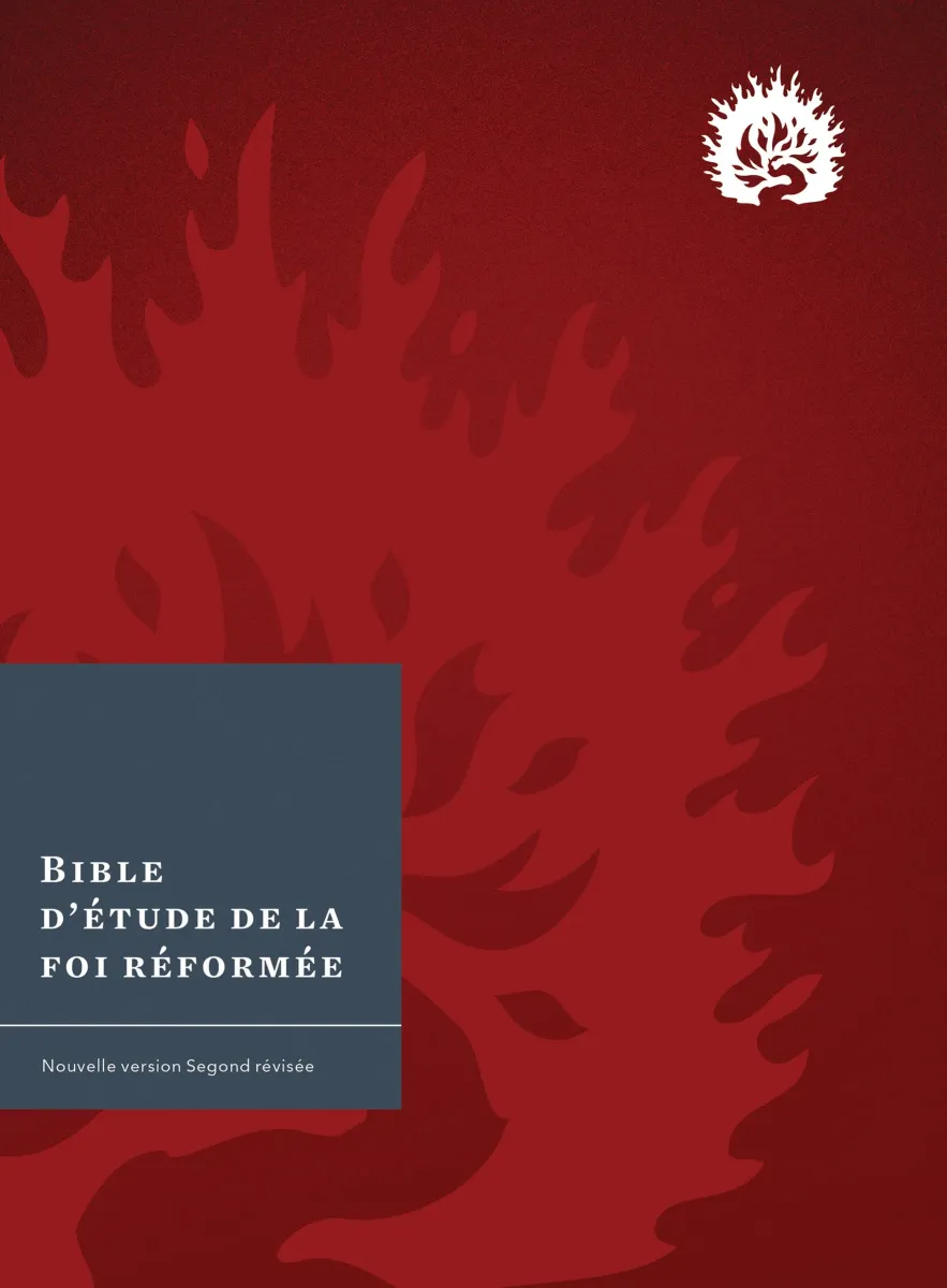 Bible Colombe étude de la foi réformée rigide bordeaux