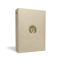 Bible Colombe étude de la foi réformée souple marron or