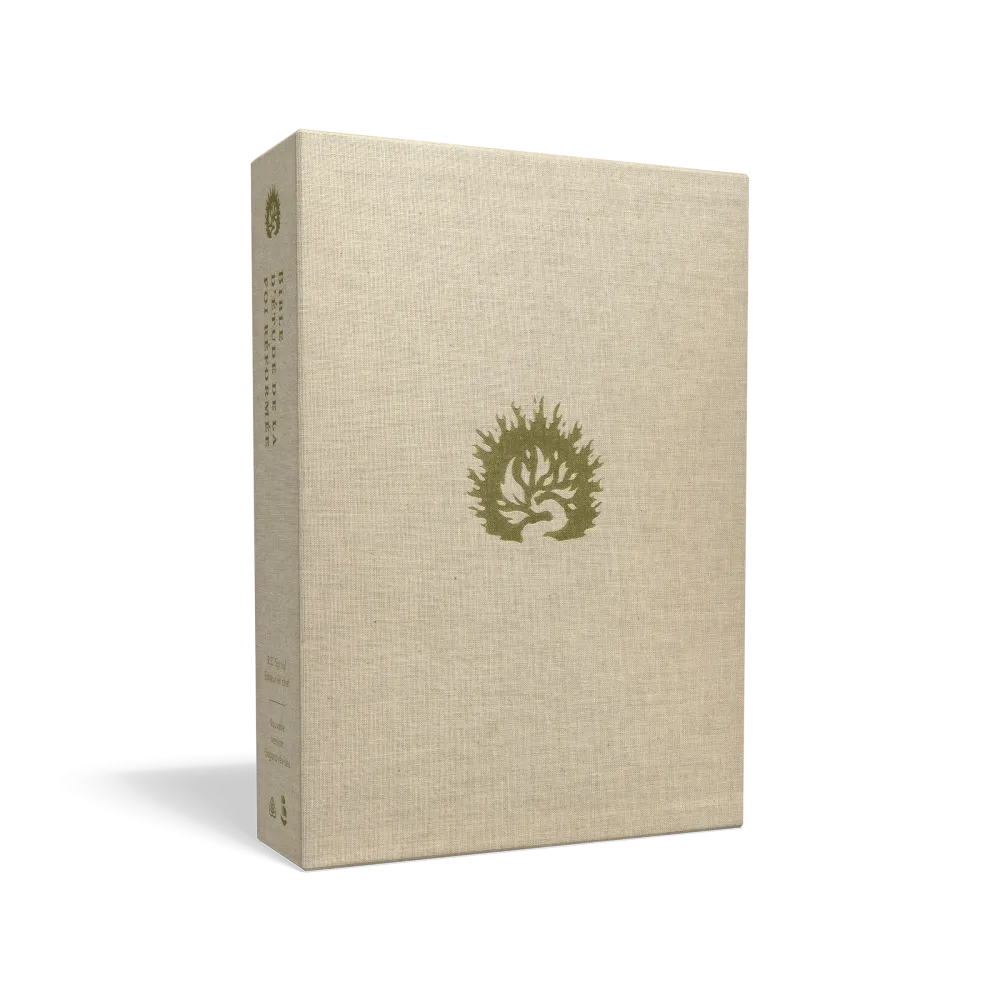 Bible Colombe étude de la foi réformée souple rouge brique or