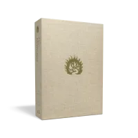 Bible Colombe étude de la foi réformée souple anthracite or