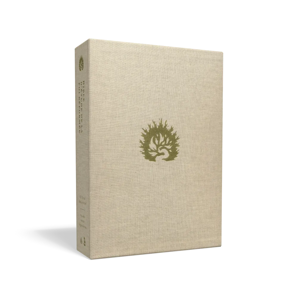 Bible Colombe étude de la foi réformée souple blanche or