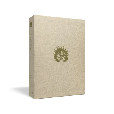 Bible Colombe étude de la foi réformée souple blanche or