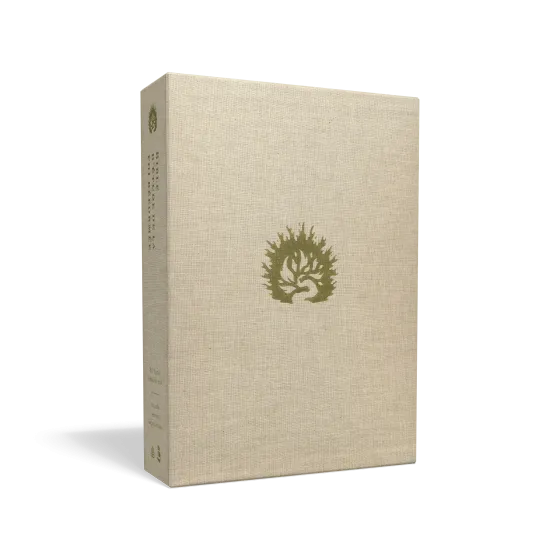 Bible Colombe étude de la foi réformée souple blanche or