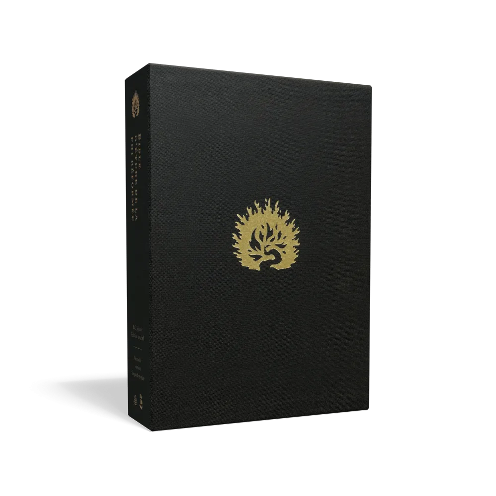 Bible Colombe étude de la foi réformée souple cuir noir or