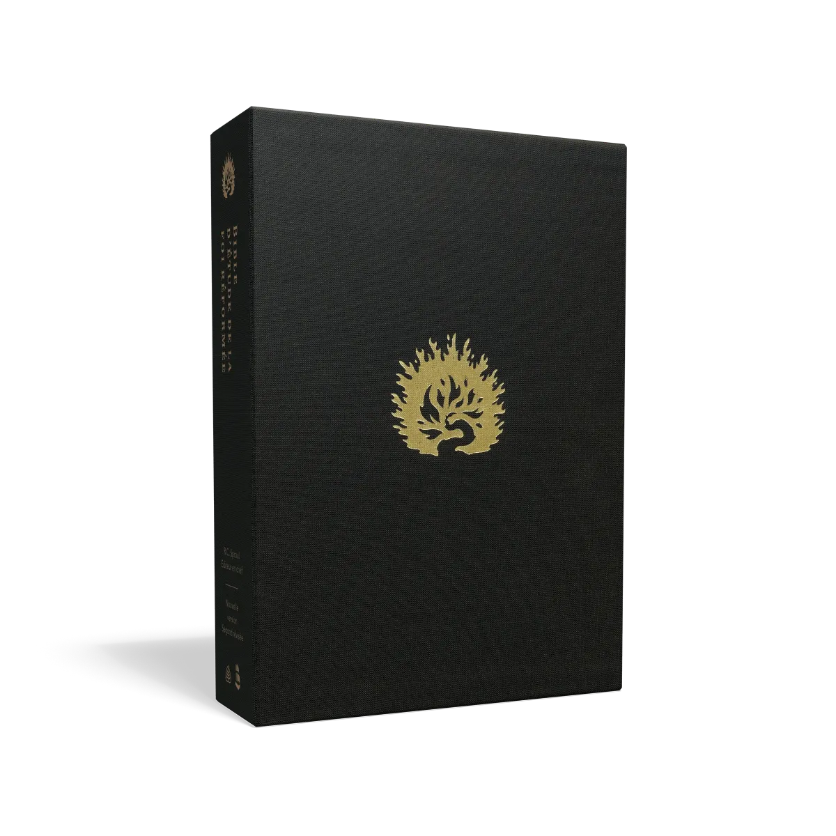 Bible Colombe étude de la foi réformée souple cuir noir or