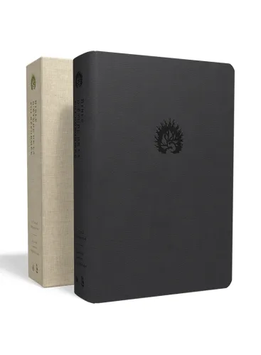 Bible Colombe étude de la foi réformée souple anthracite or