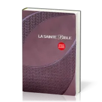 Bible Segond 1910 famille souple brun or onglets - Paroles de Jésus en rouge