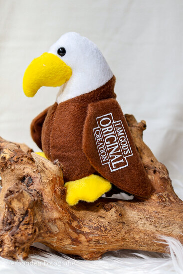 Peluche aigle - I am God's original creation