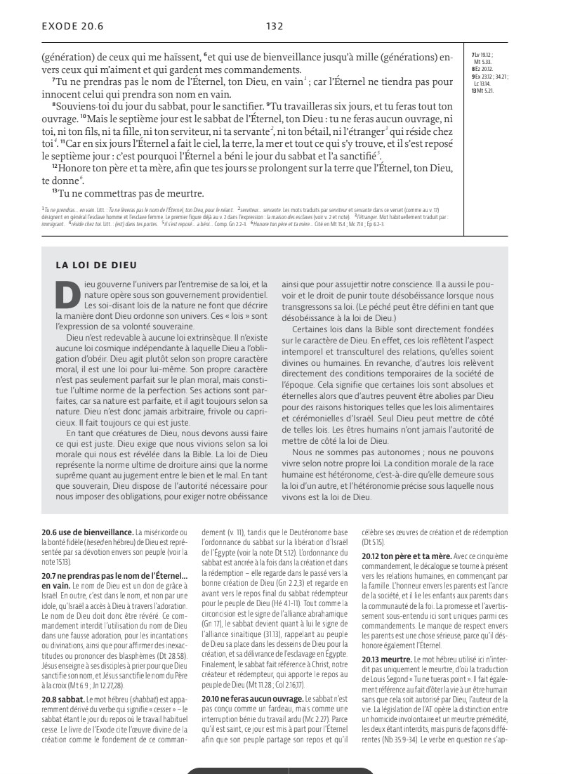 Bible Colombe étude de la foi réformée souple marron or