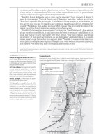 Bible Colombe étude de la foi réformée souple marron or