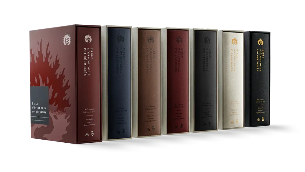 Bible Colombe étude de la foi réformée souple rouge brique or