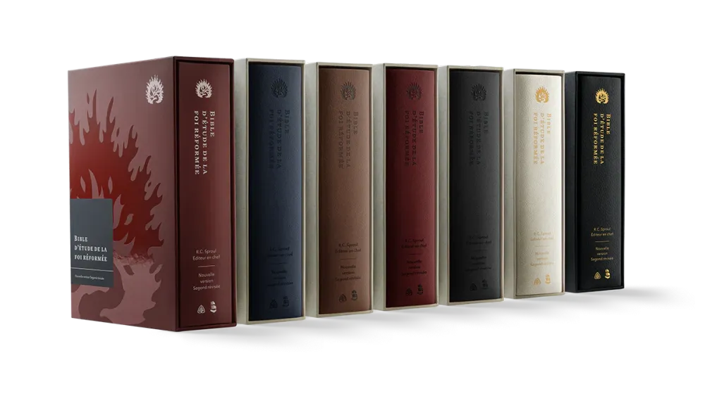 Bible Colombe étude de la foi réformée souple anthracite or