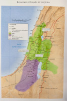 Bible Colombe étude de la foi réformée souple marron or