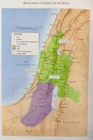 Bible Colombe étude de la foi réformée souple blanche or