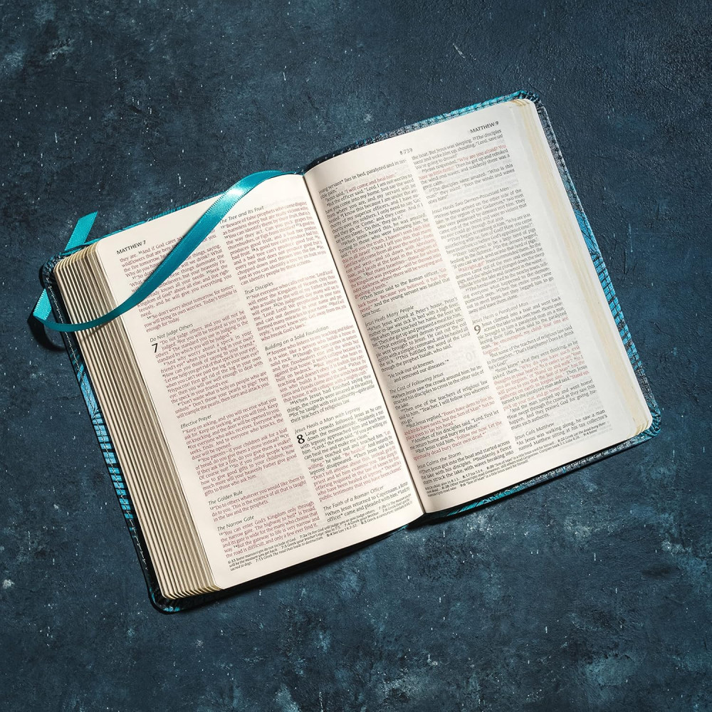 NLT Holy Bible compact teal (filament app)