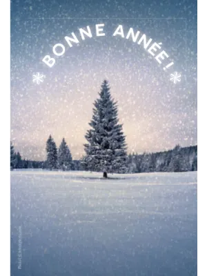 Bonne année !