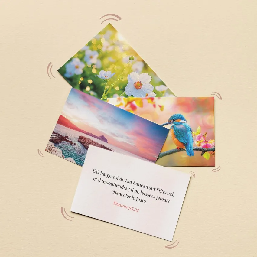 Lot de 50 versets - Paix et réconfort