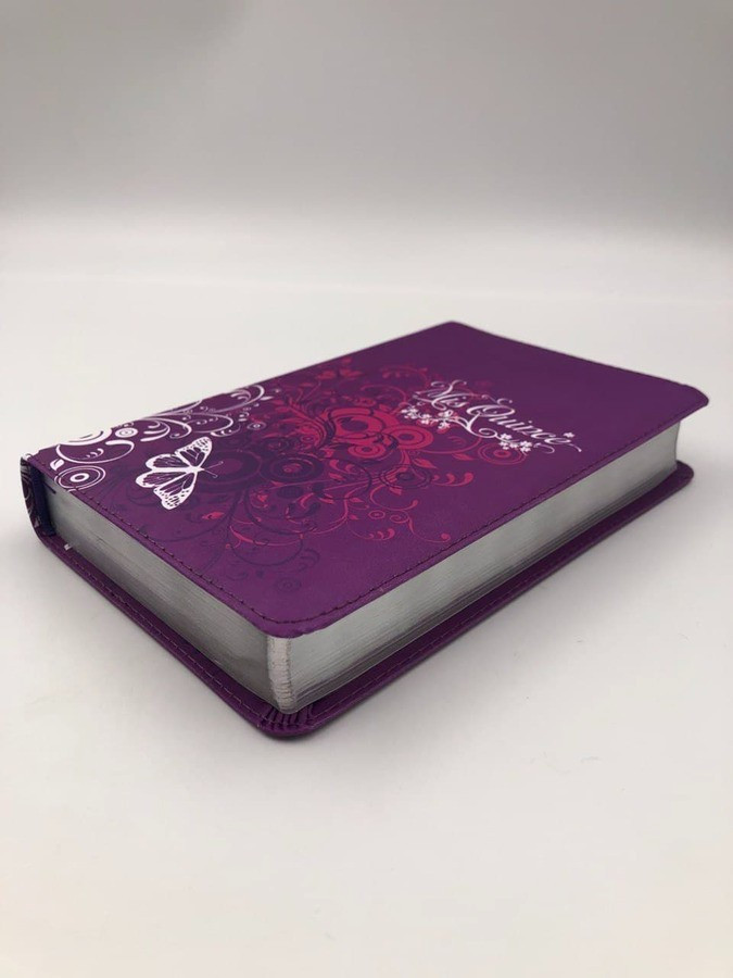 RVR 1960 Santa Biblia Mis Quince