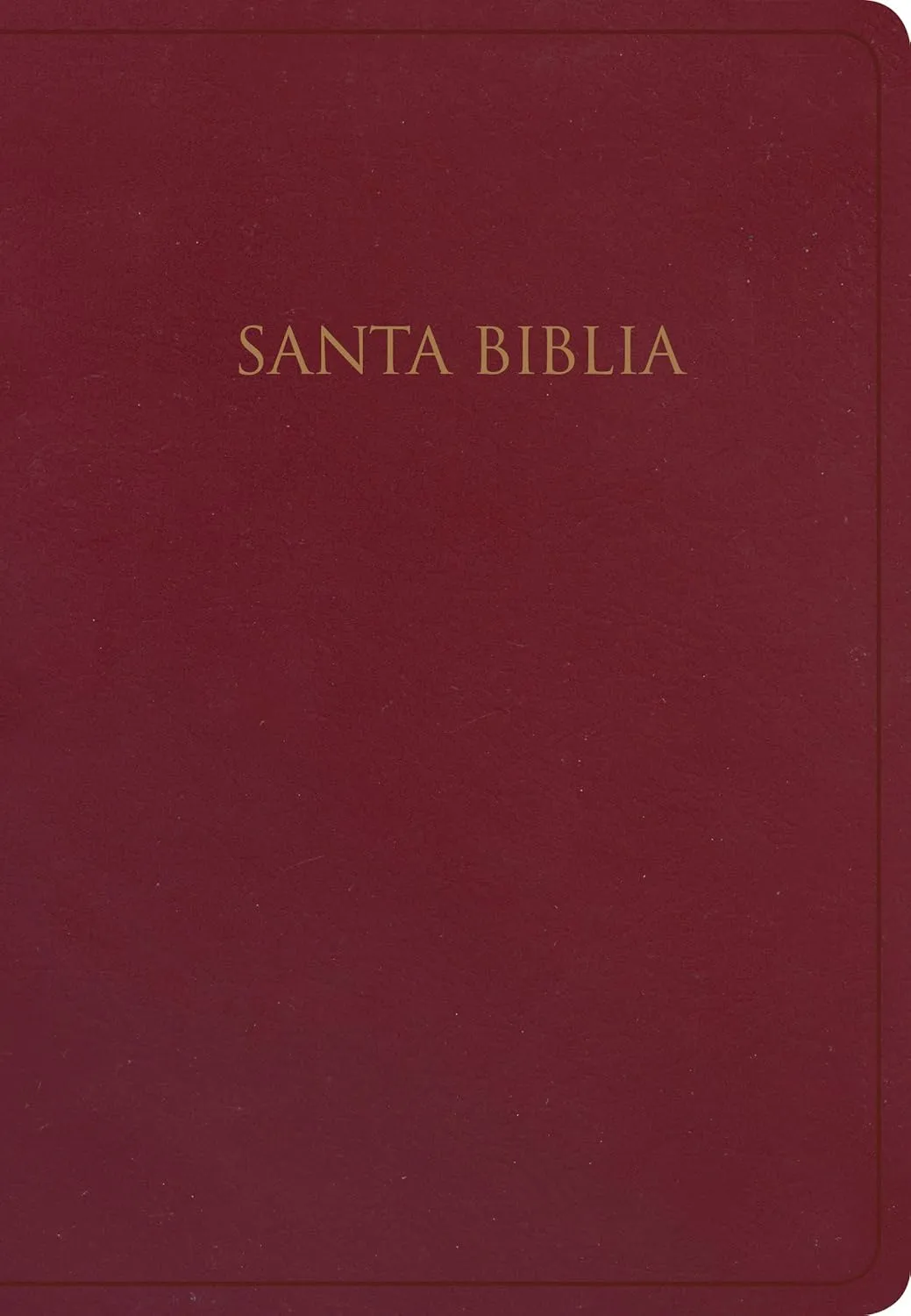 RVR 1960 Gift & Award Biblia borgona imitacion piel