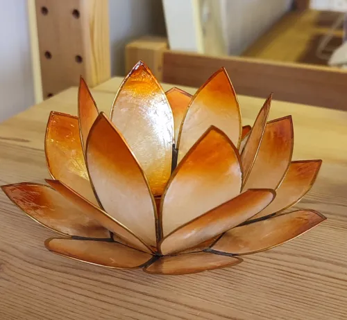 Photophore nacre fleur diverses couleurs