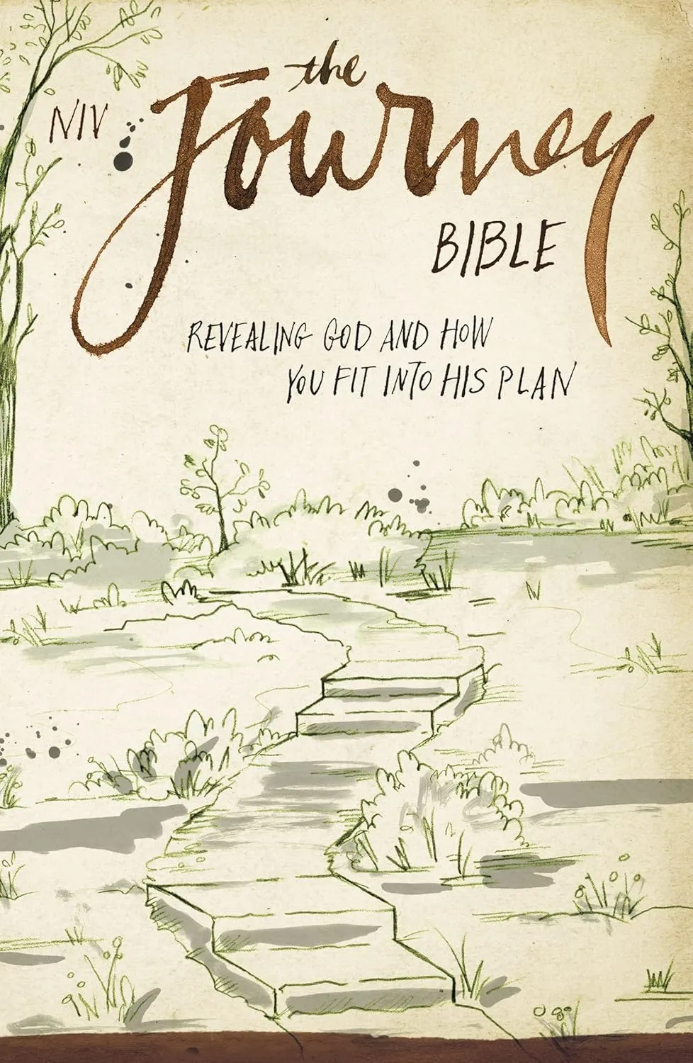 NIV The journey Bible - Revealing God and how you fit into his plan