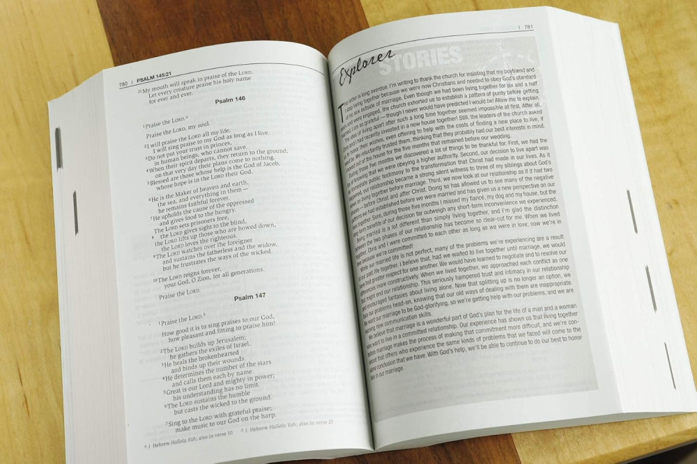 NIV The journey Bible - Revealing God and how you fit into his plan