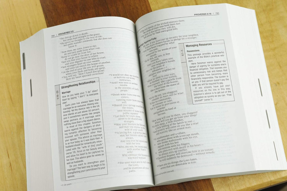 NIV The journey Bible - Revealing God and how you fit into his plan