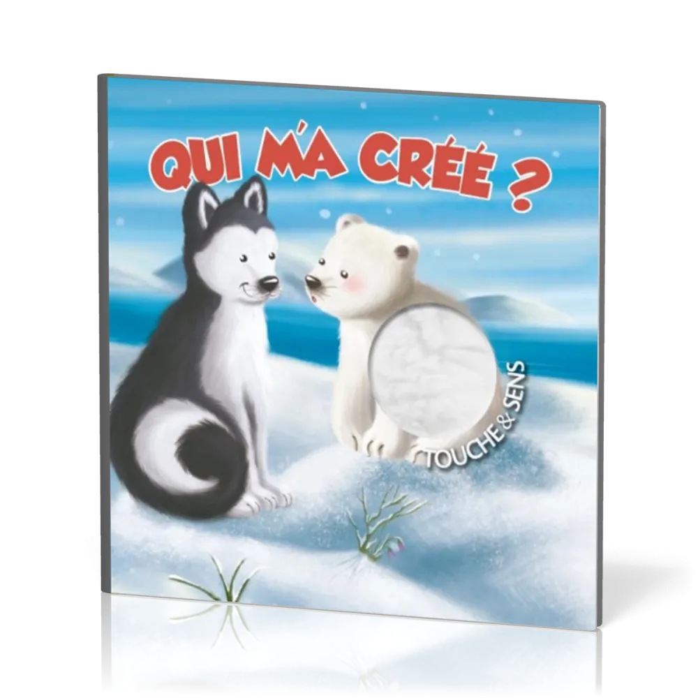 Qui m'a créé ? (Touche & sens)