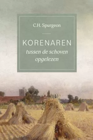 Korenaren - tussen de schoven opgelezen