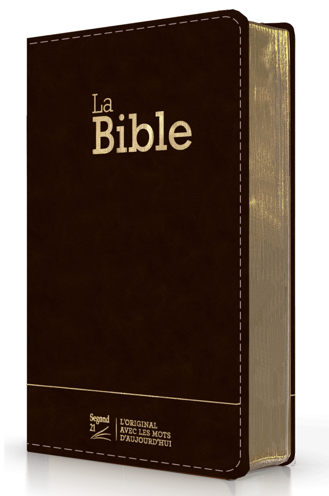 Bible SG21 souple cuir anthracite or