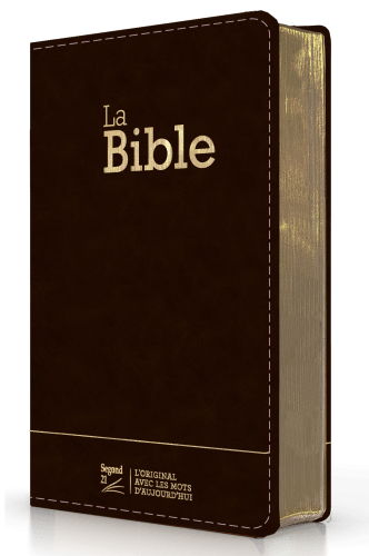 Bible SG21 souple cuir anthracite or