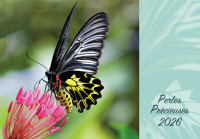 Calendrier - Perles précieuses - mural