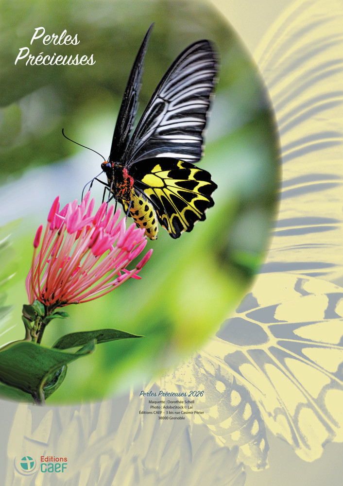 Calendrier - Perles précieuses - mural