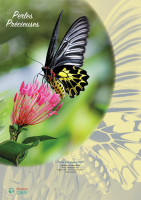 Calendrier - Perles précieuses - mural