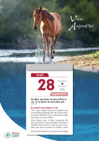 Calendrier - Vivre aujourd'hui - mural