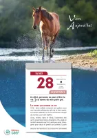 Calendrier - Vivre aujourd'hui - mural