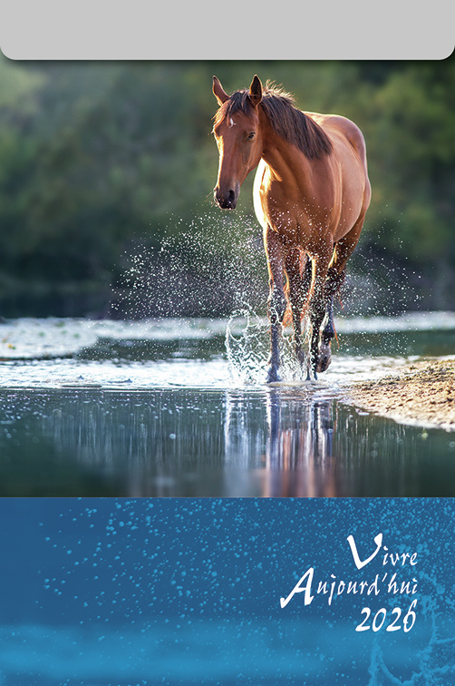 Calendrier - Vivre aujourd'hui - mural