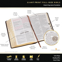 KJV The holy Bible giant print purple