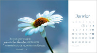 Calendrier - Fleurs avec versets bibliques
