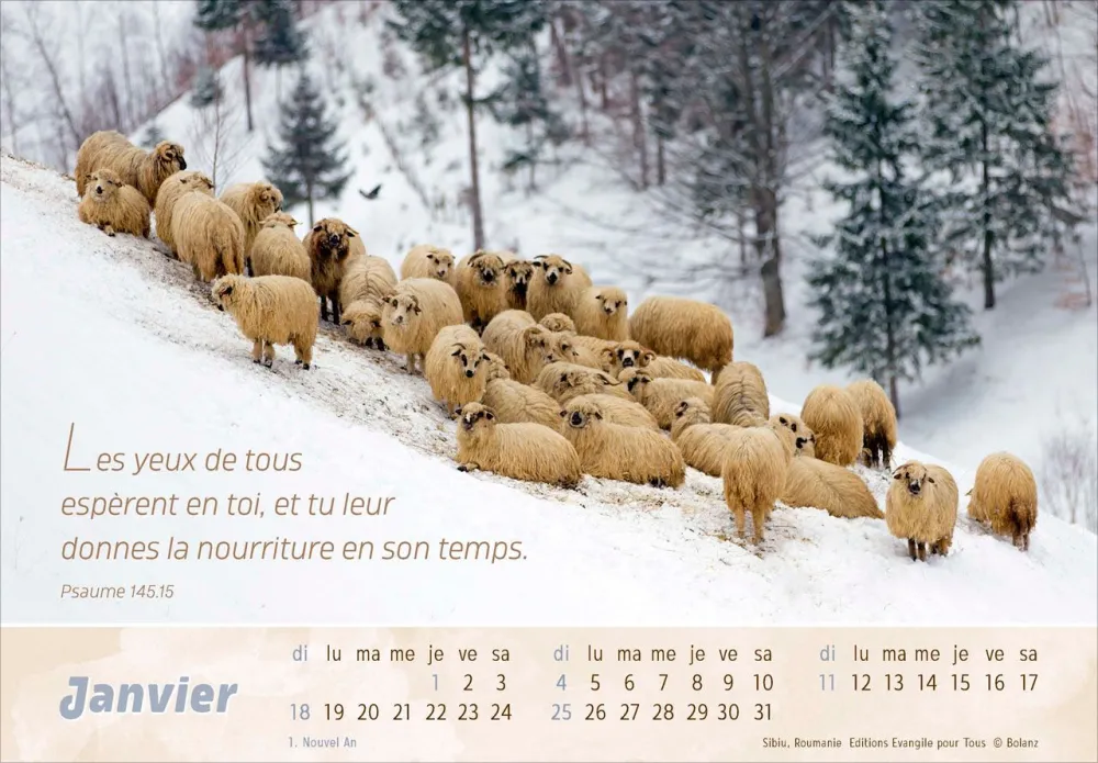 Calendrier - Le bon berger