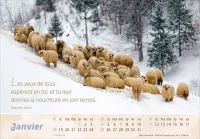 Calendrier - Le bon berger