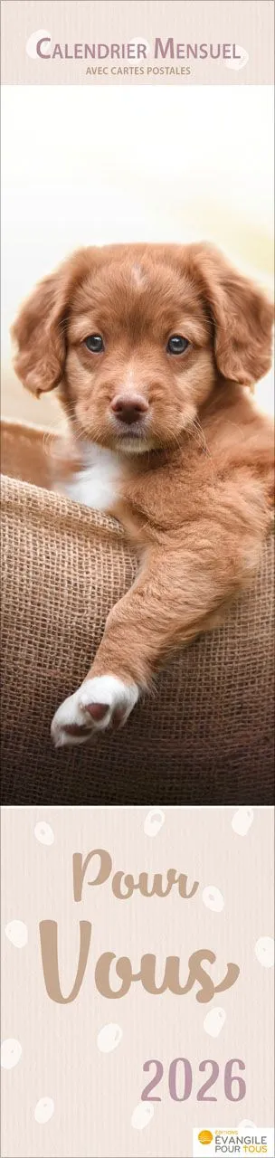 Calendrier - Pour Vous - Animaux
